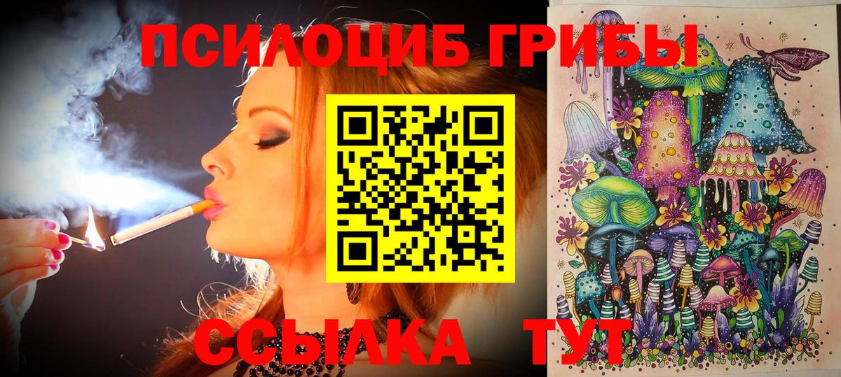 Ульяновск  Галлюциногенные грибы MAGIC MUSHROOMS  закладка  Вход с VPN  Псилоцибиновые грибы GOLDEN TEACHER 